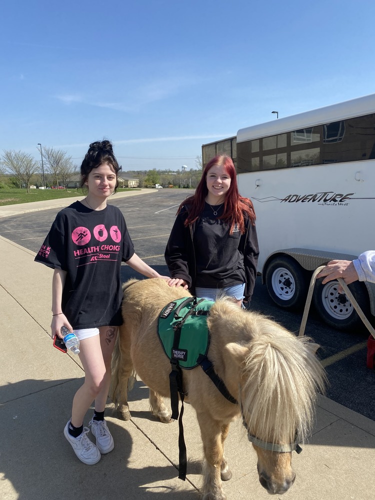 Fantastic Friday - Therapy Animals